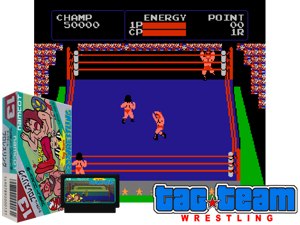Tag Team Pro-Wrestling (J) [p1] Cover